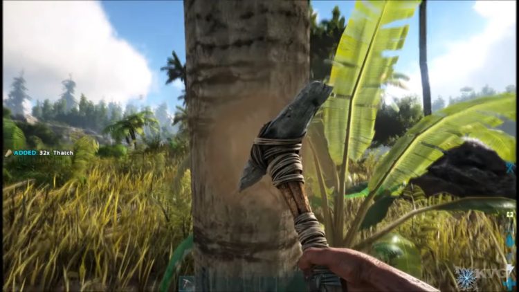 Ark: Survival Evolved