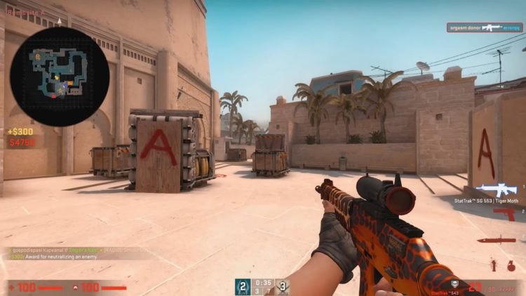 CS: GO
