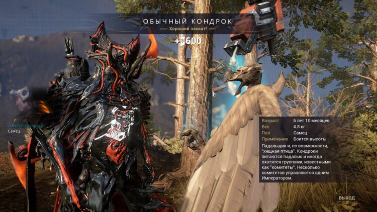 Warframe крыло кондрока как получить