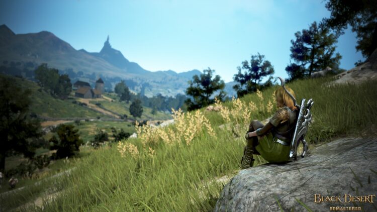 Black Desert - пример скриншота