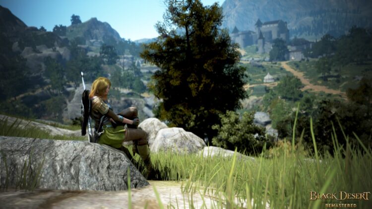 Black Desert - пример скриншота