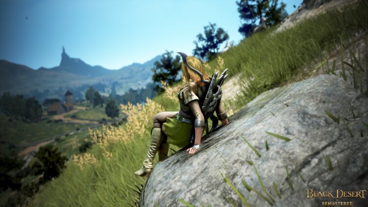 Black Desert - пример скриншота