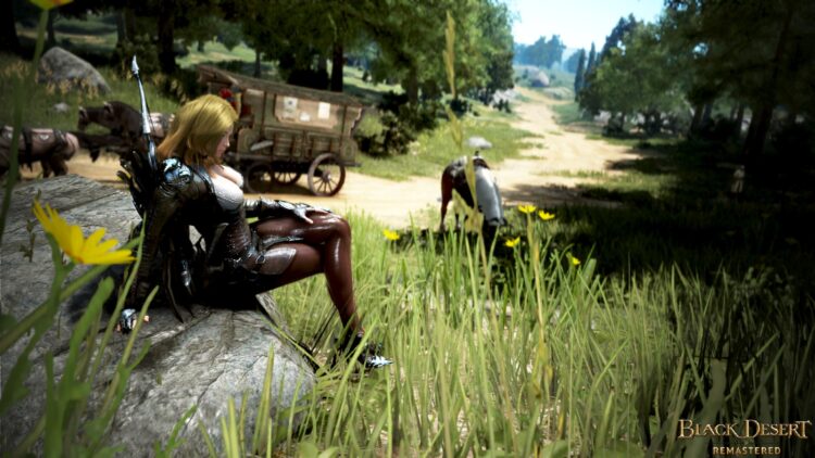 Black Desert - пример скриншота