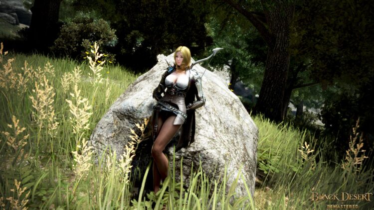 Black Desert - пример скриншота