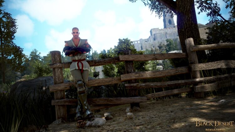 Black Desert - пример скриншота