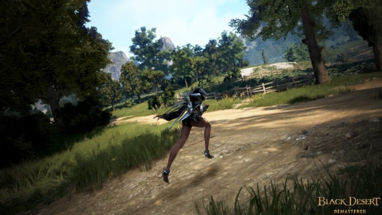 Black Desert - пример скриншота