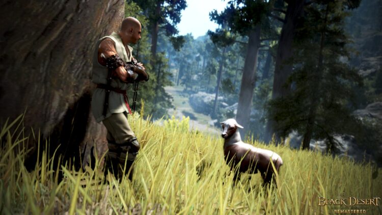 Black Desert - пример скриншота