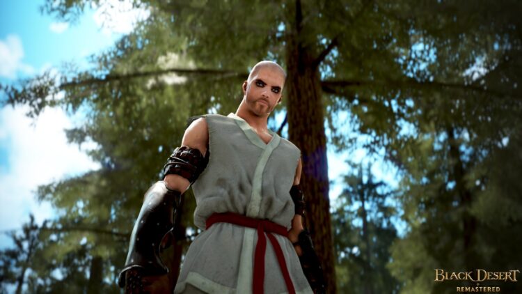 Black Desert - пример скриншота