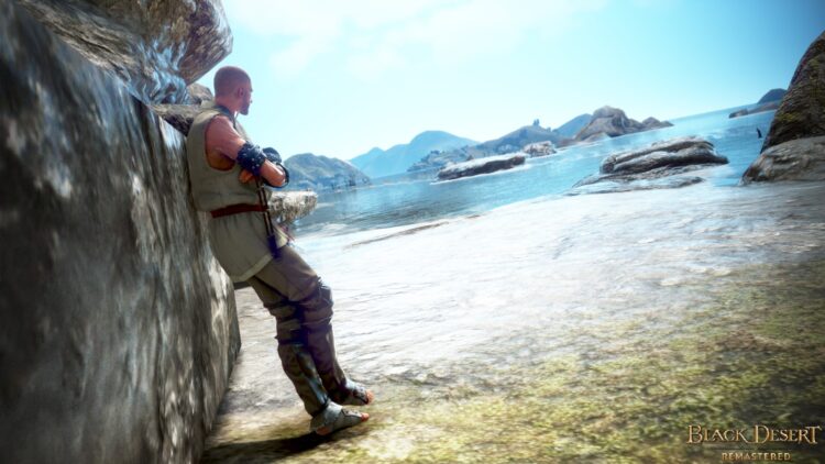 Black Desert - пример скриншота