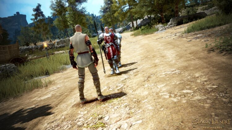 Black Desert - пример скриншота