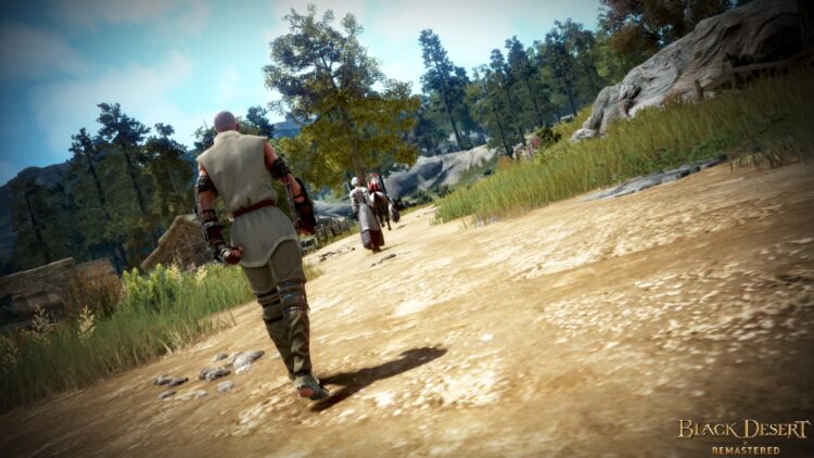 Black Desert - пример скриншота