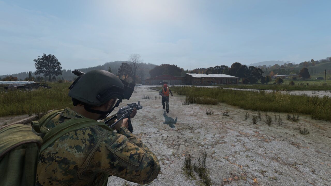 Оружие в DayZ