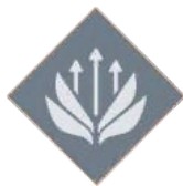 Сбалансированный полет