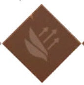 Ускоренный полет