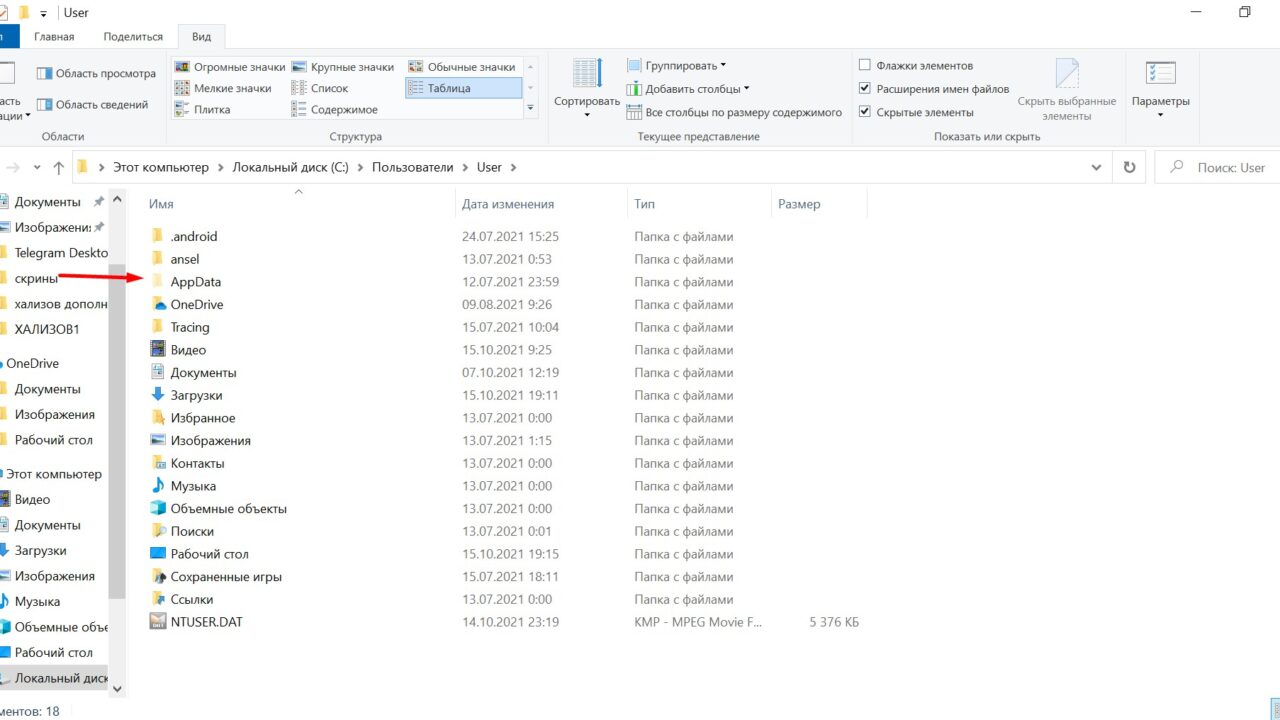 AppData