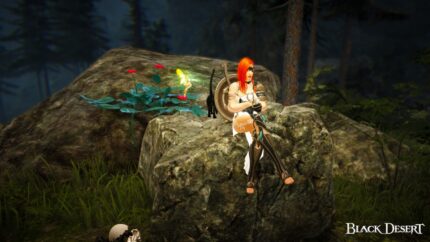 Black Desert Online