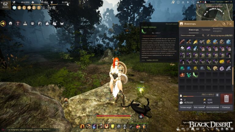 Лакиара в Black Desert Online