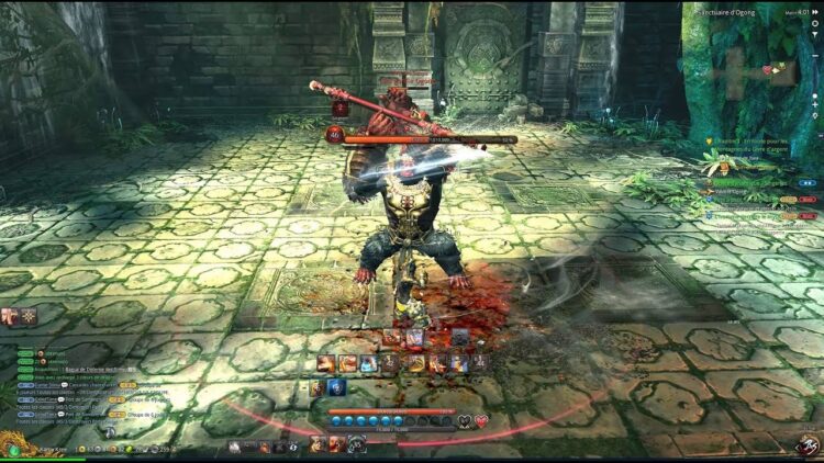 Мастер Кунг-Фу в Blade and Soul