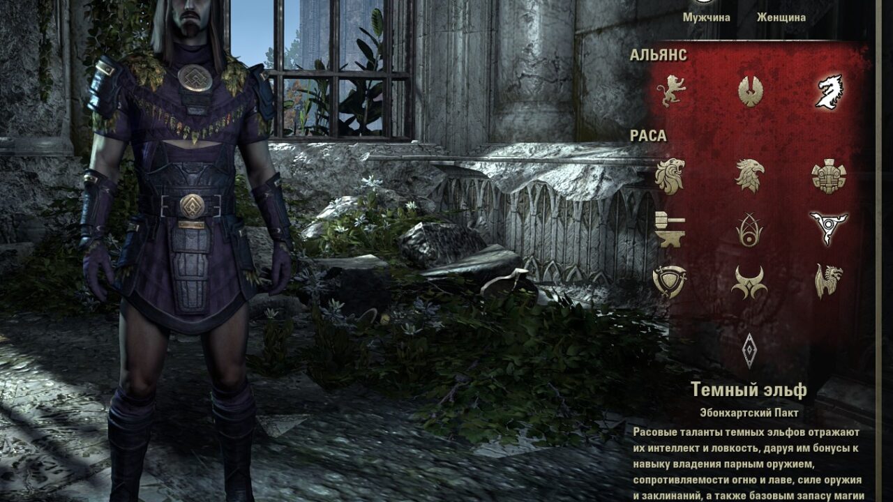 Тёмный эльф