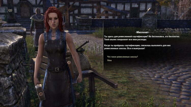 NPC ремесленник