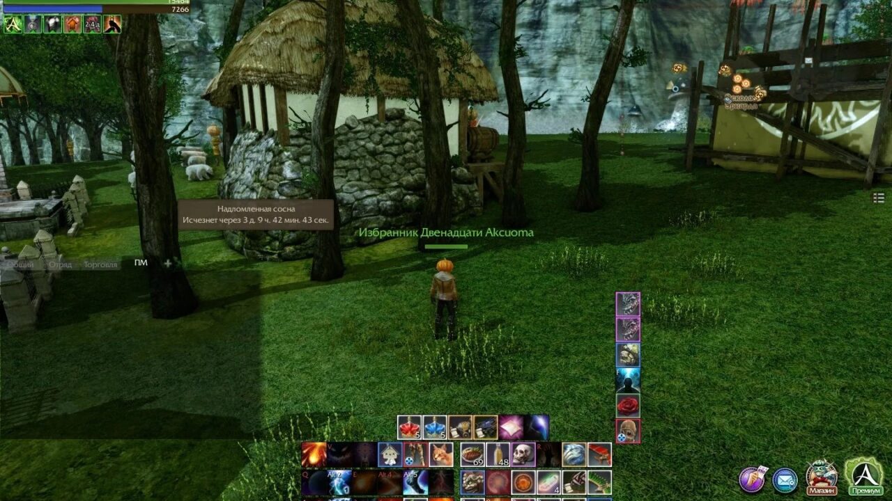 Если строить, то на века