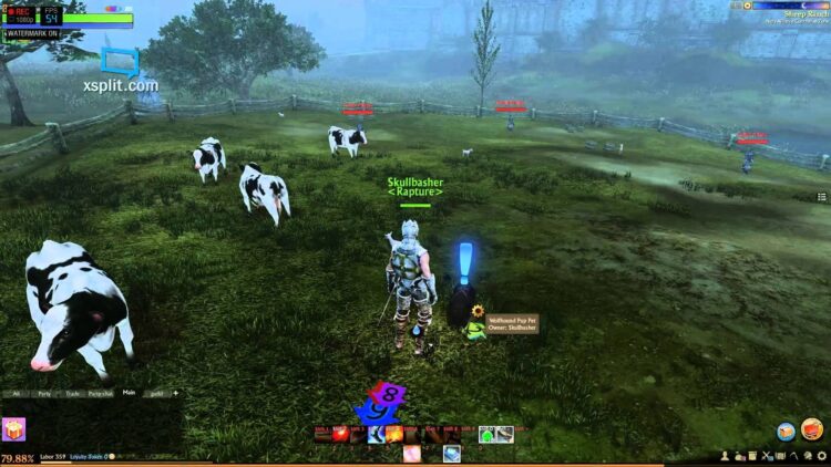 Почти золотое руно