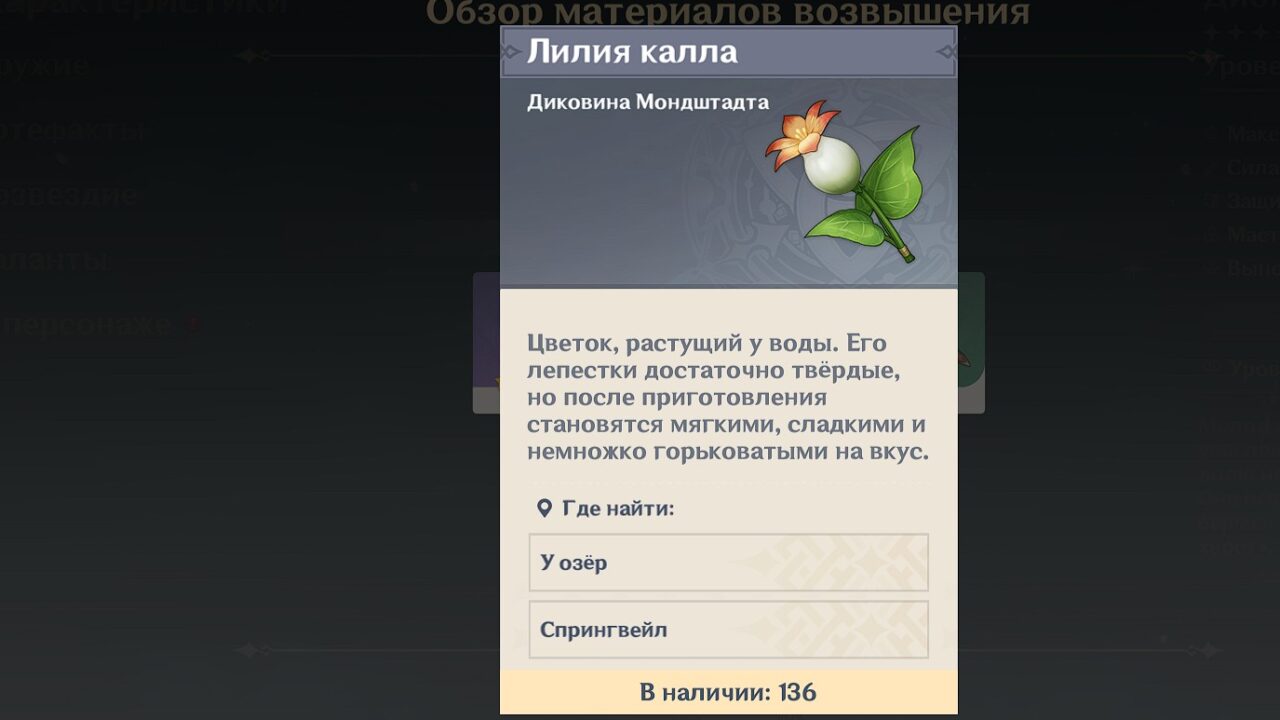 Лилия калла