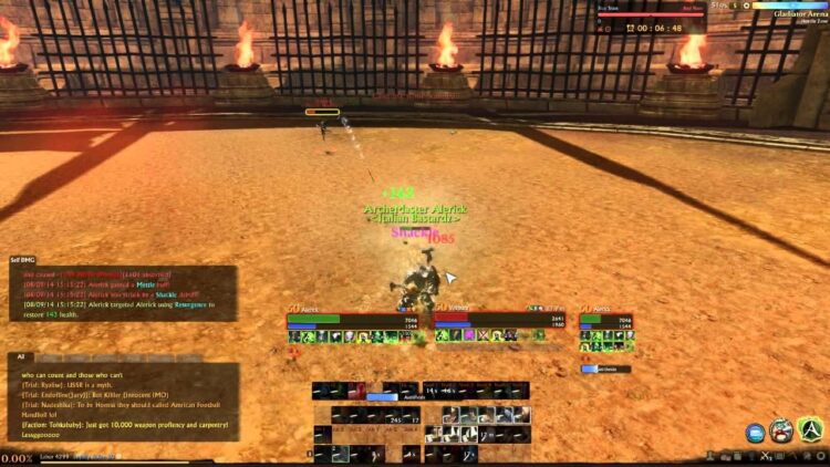 Паладин в ArcheAge