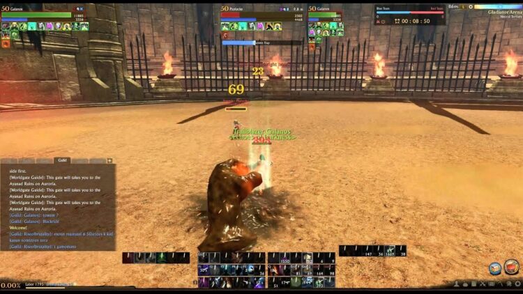 Паладин в ArcheAge