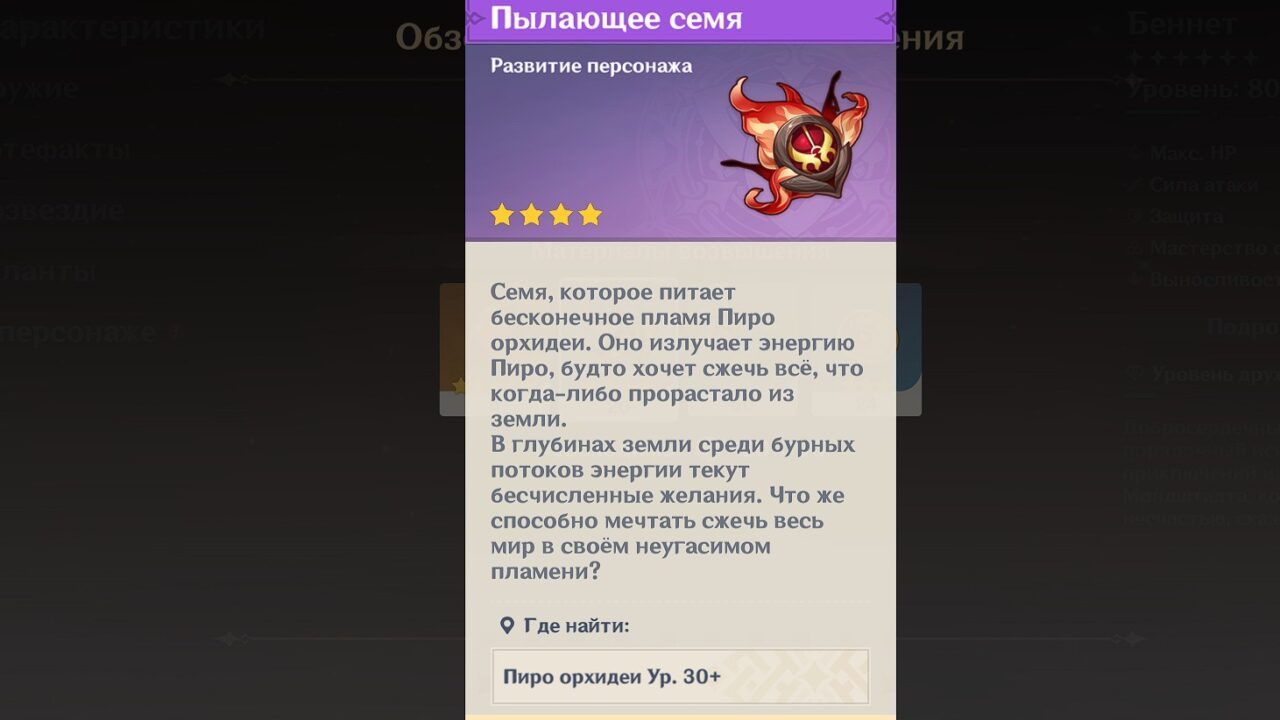 Агаты Агнитус и Пылающее семя
