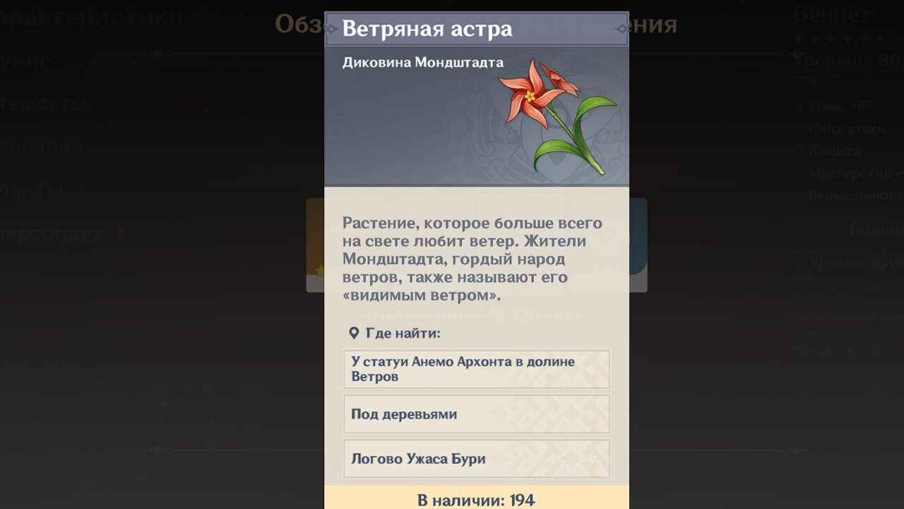 Ветряная астра